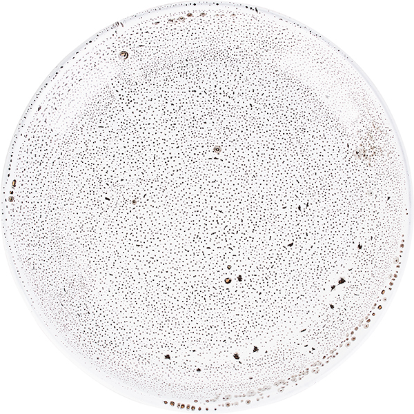 mini5d1455ca-d040-4de9-a22d-7c11343d0403